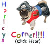 Harley's Corner!