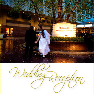 Wedding Reception